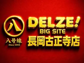 デルゼビッグサイト長岡古正寺店の店舗画像