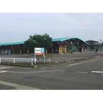 ダイナム新井店