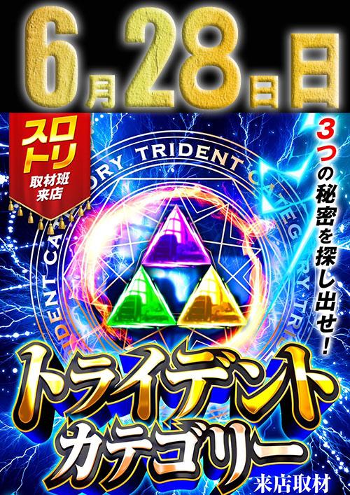 トライデントカテゴリー