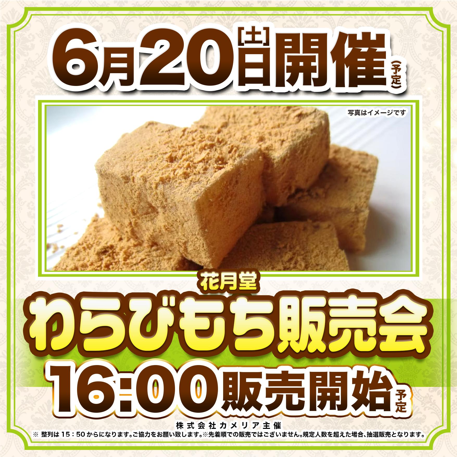 カメリア様主催▶▶販売会開催予定!