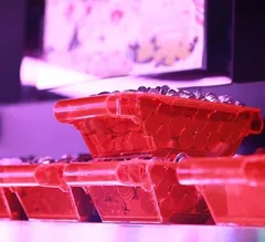 5月5日、ゴーゴーコスミック武蔵小山店に特派員ブルーマウンテン青山が潜入！そこで見た驚愕の