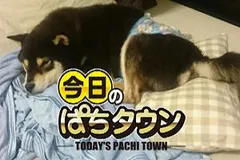 【今日のぱちタウン】ゆずっきーにも奇妙なあだ名が