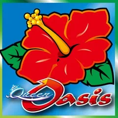 聖王妃の設定推測ポイントを辿る