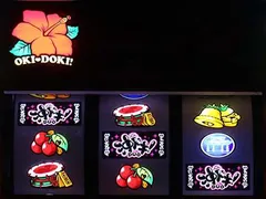 【沖ドキDUOハイビスカスランプの光り方】点灯パターン毎の次回モード期待度を完全網羅！