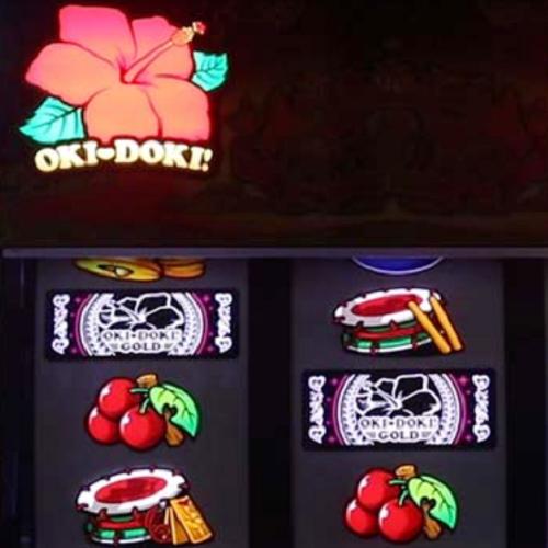 banner.jpg?t=1723790939