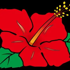 パチスロドラゴンハナハナの設定差はこれを見ればOK！BIG中設定示唆・ボーナス終了時のフェザーランプ