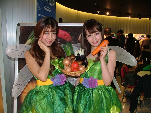 CR野菜の王国～サニーとルナの大収穫祭』と『CRゼブラーマン ゼブラ