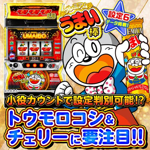 banner.jpg?t=1749146174