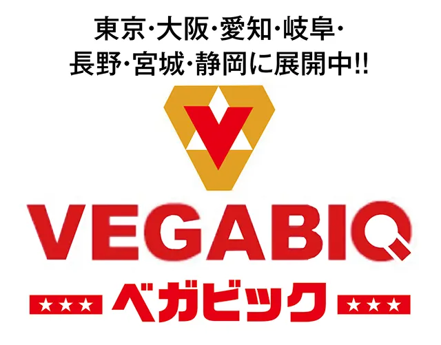 https://cdn.p-town.dmm.com/editor/ライティングZERO/tokusyu_shokunin/2026/07tsuki/0707_vegabig_fuji/01.gif
