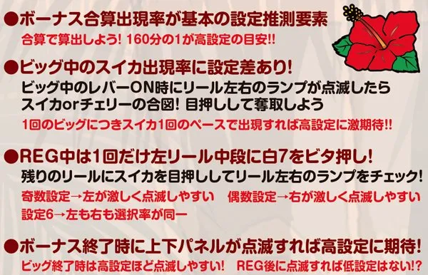 ニューキングハナハナ設定推測ポイント