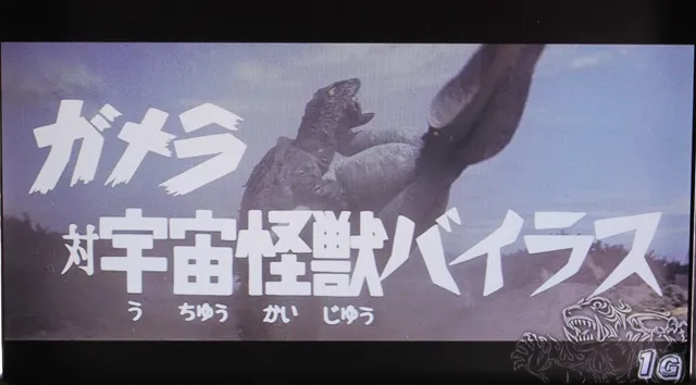 ガメラ天井