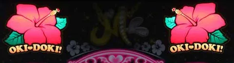沖ドキブラック天井