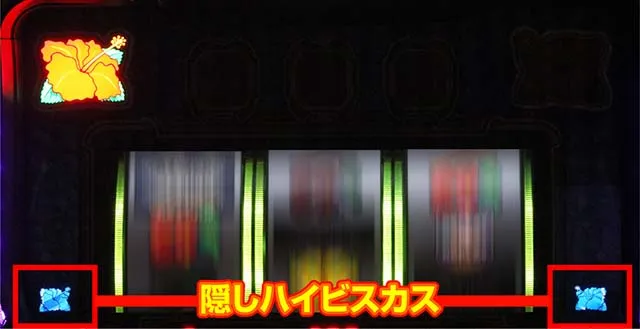 ハイビリターン隠しハイビスカス点滅
