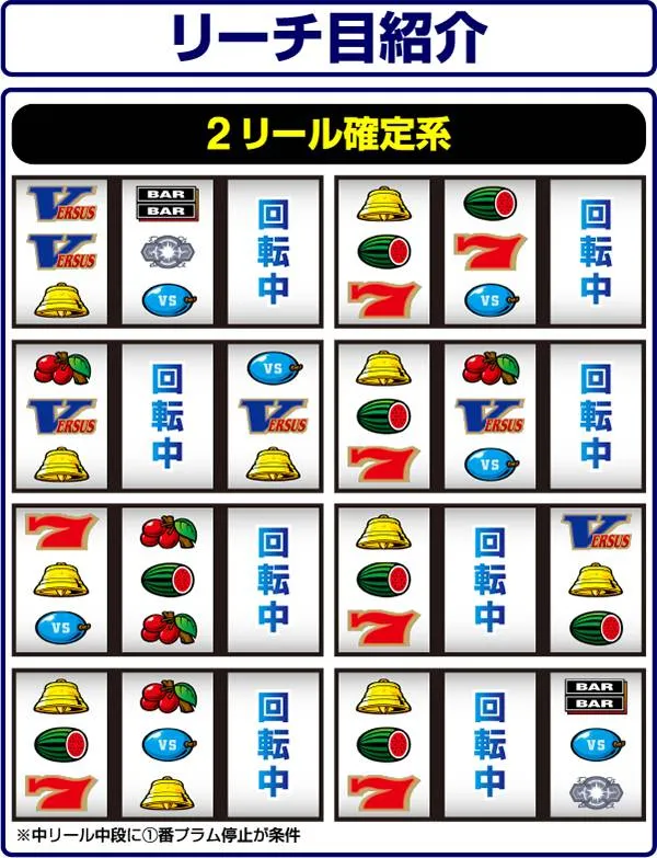 バーサスリーチ目