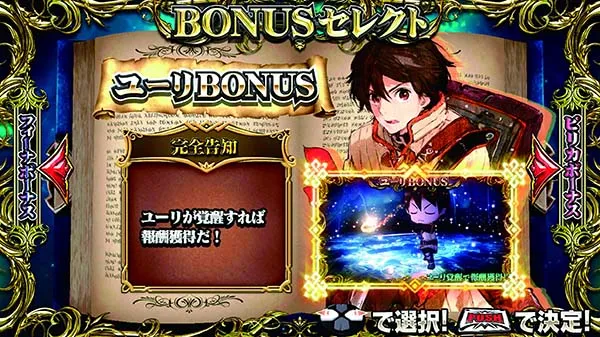 チェインクロニクル義勇軍ボーナスの概要
