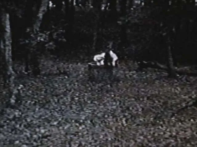リング恐襲フリーズ
