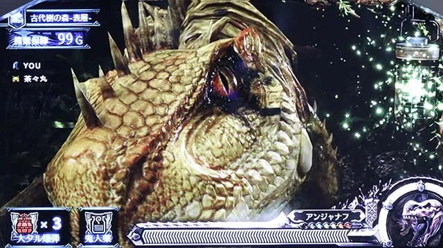 モンハン導虫