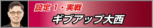 ドラゴンハナハナ閃光実戦データ