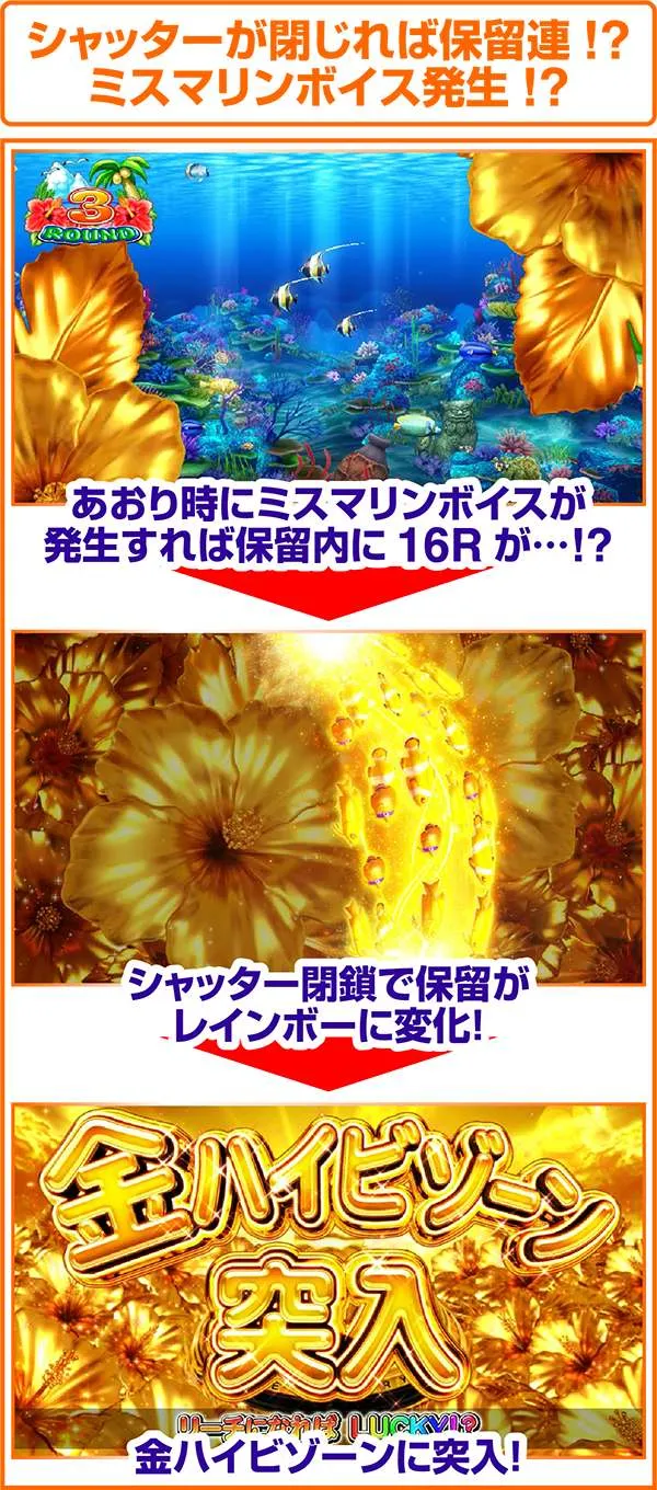 海物語アイマリンハイビスカスチャンス
