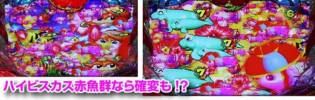 スーパー海物語IN沖縄5(沖海5)・ハイビスカスモード