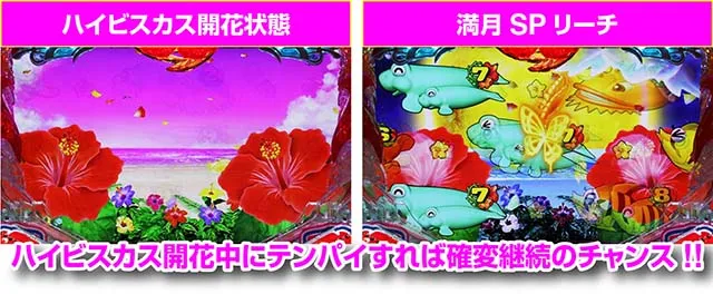 スーパー海物語IN沖縄5(沖海5)・当たれば確変濃厚演出