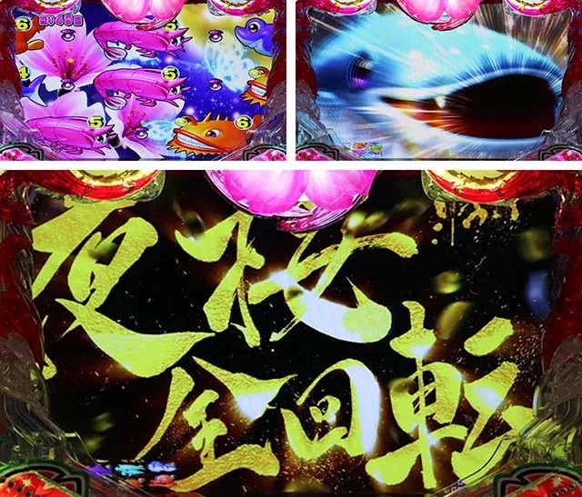 スーパー海物語IN沖縄5(沖海5)・ゾーン共通