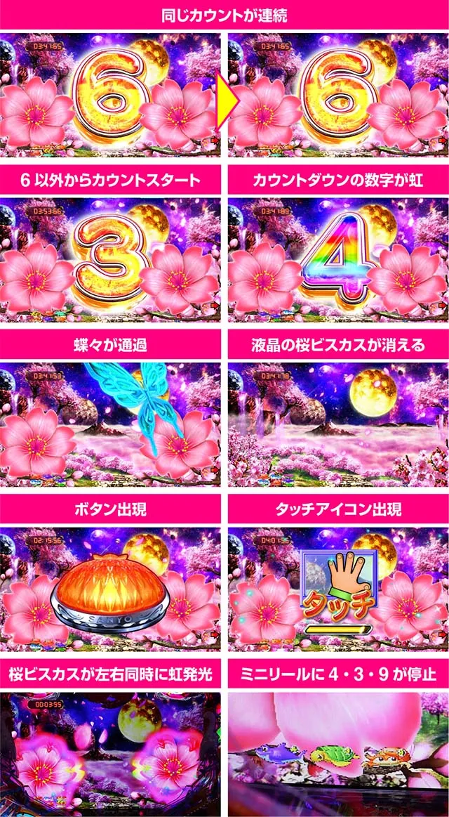 スーパー海物語IN沖縄5(沖海5)・桜ビスカスゾーン