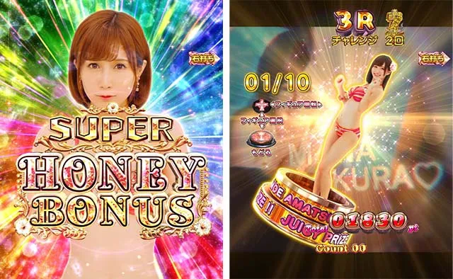 ぱちんこ・ジューシーハニーハーレム・大当りの種類