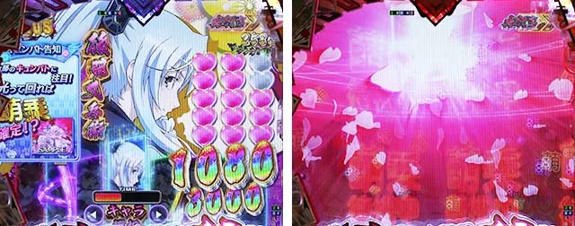 ぱちんこ・百花繚乱・忠 chu 乱舞BONUS中の上乗せ告知