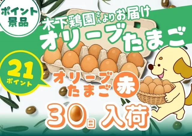 セントラルディーボ御座店の最新情報画像