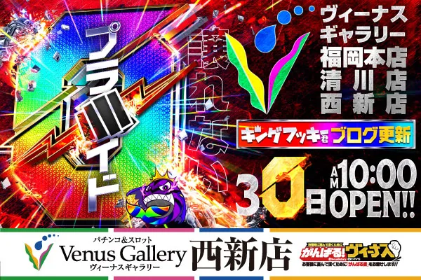 ヴィーナスギャラリー西新店の最新情報画像