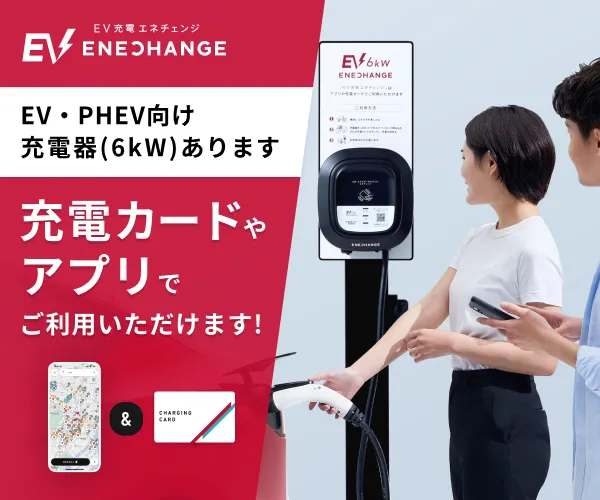 苫小牧ひまわりの最新情報画像