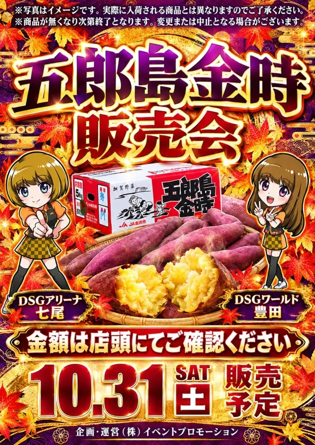 DSG ARENA七尾店の最新情報画像