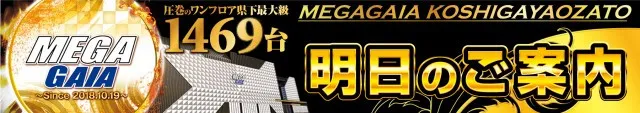 メガガイア越谷大里の最新情報画像