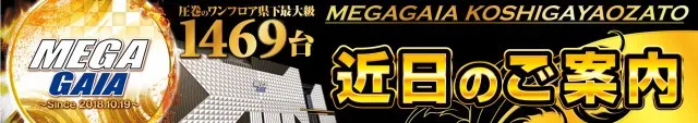 メガガイア越谷大里の最新情報画像