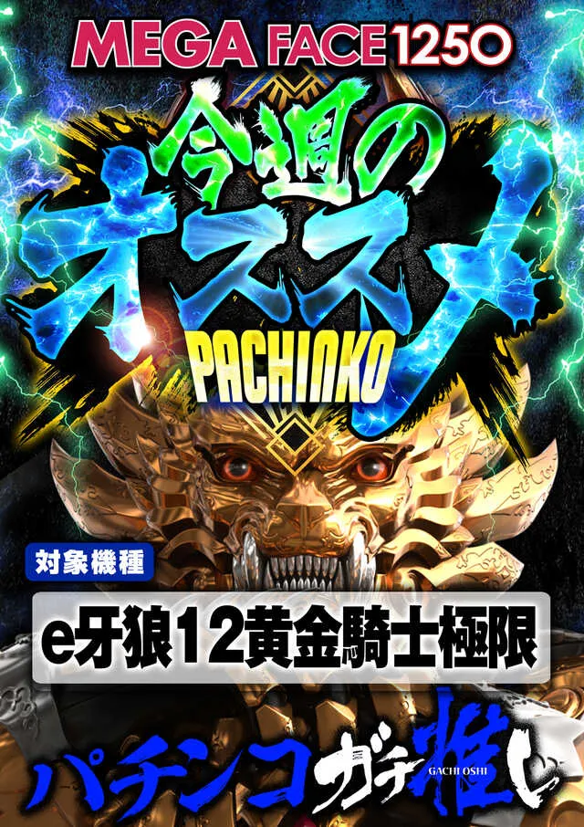 メガフェイス1250田川の最新情報画像