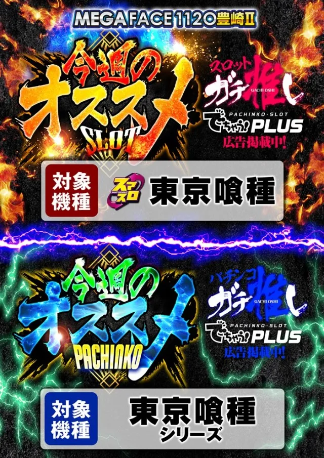 メガフェイス1120豊崎Ⅱの最新情報画像