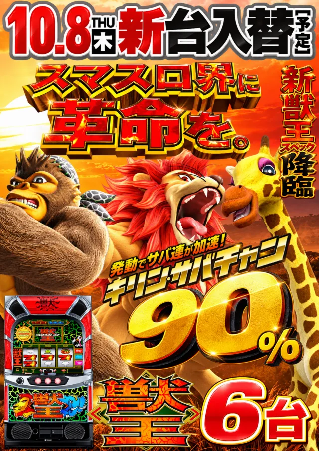 DS FIELD6の最新情報画像