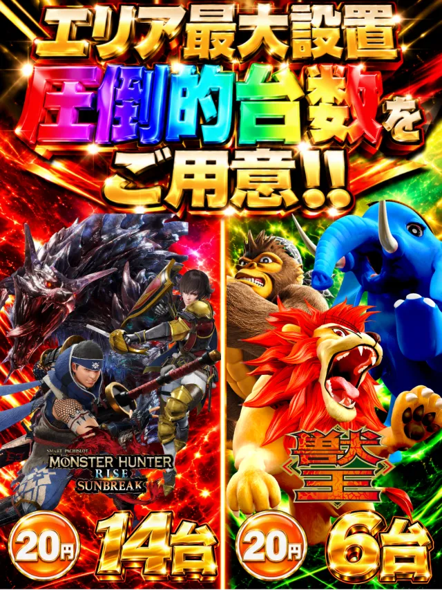 DS FIELD6の最新情報画像