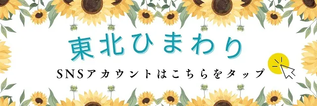 能代ひまわりの最新情報画像