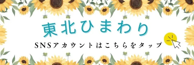 大曲ひまわりの最新情報画像