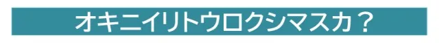 DELFEEL NEW TOKYOの最新情報画像