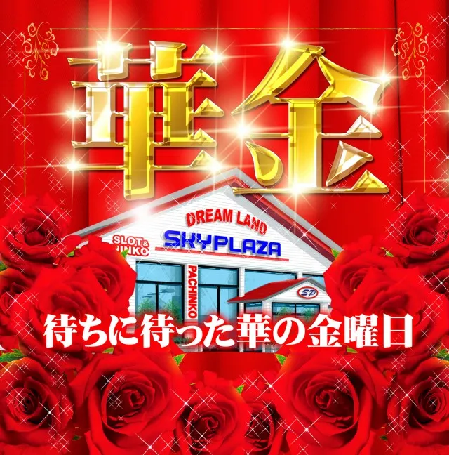 スカイプラザ大井店の最新情報画像