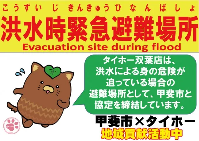 タイホー双葉の最新情報画像