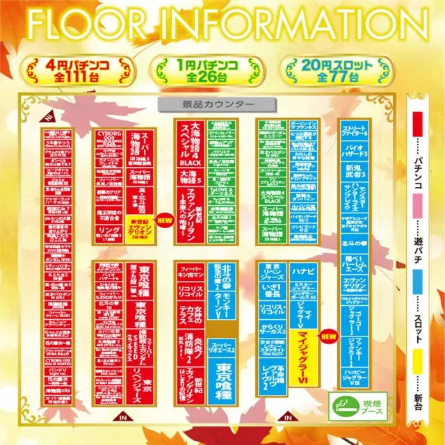 ニュースポーツの最新情報画像