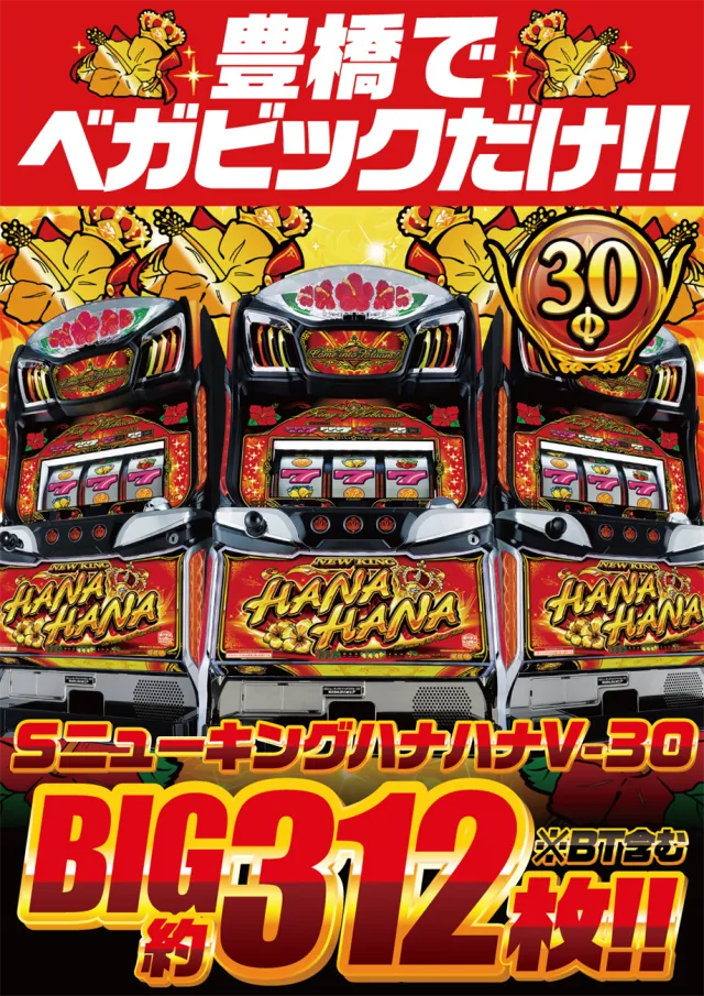 ベガビック豊橋店の最新情報画像