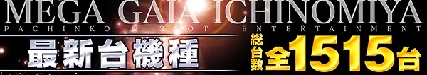 メガガイア一宮の最新情報画像