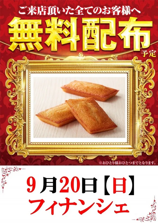 ベガビック1130豊川店の最新情報画像