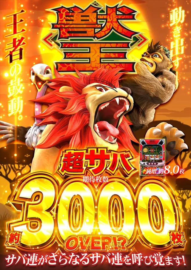 コスモジャパン西尾店の最新情報画像