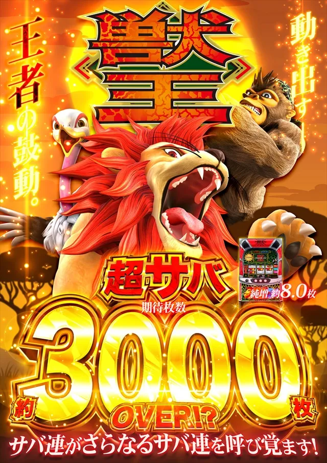 コスモジャパン三谷店の最新情報画像